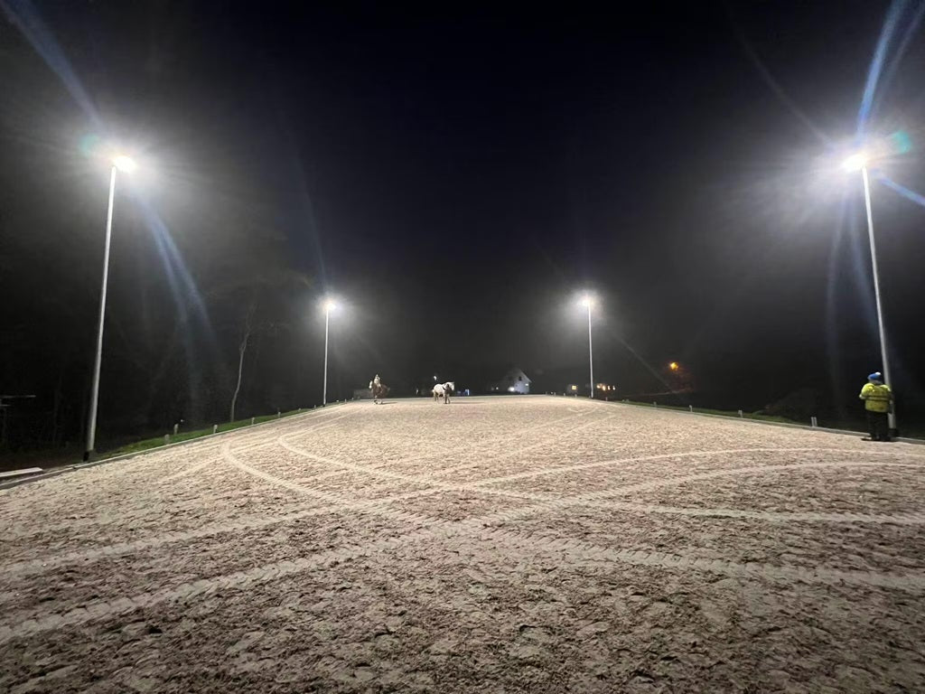 Lichtmast Stahlmast 8m Maste Ronotic für Reitplatz Reithof.jpg__PID:9611ed28-a35a-42dc-9a96-1e30b7c3c378
